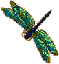 grndrfly.GIF (4168 bytes)